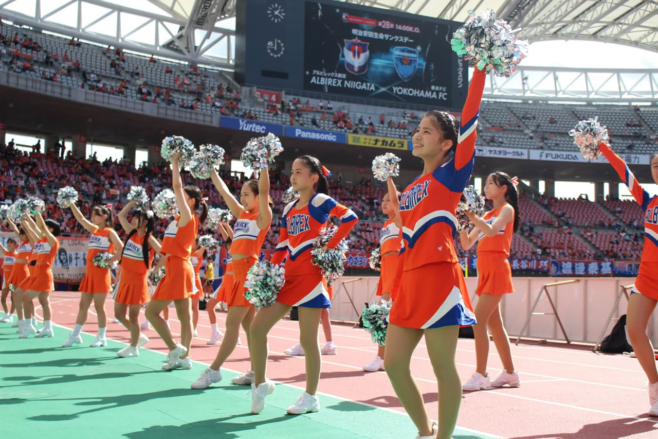 Albilex
                            Cheerleaders
                            