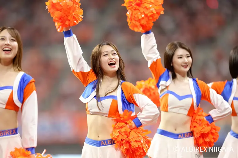 Albilex
                            Cheerleaders
                            