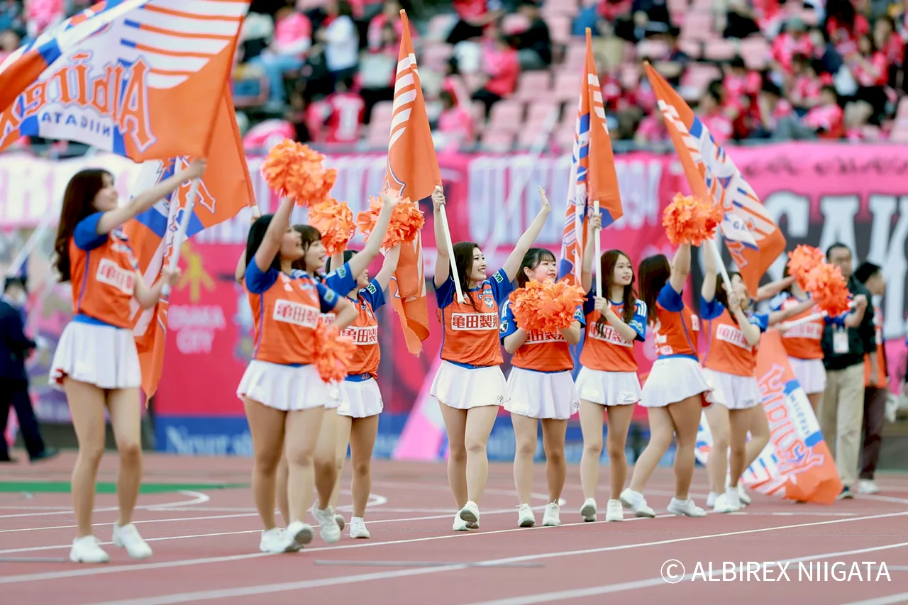 Albilex
                            Cheerleaders
                            