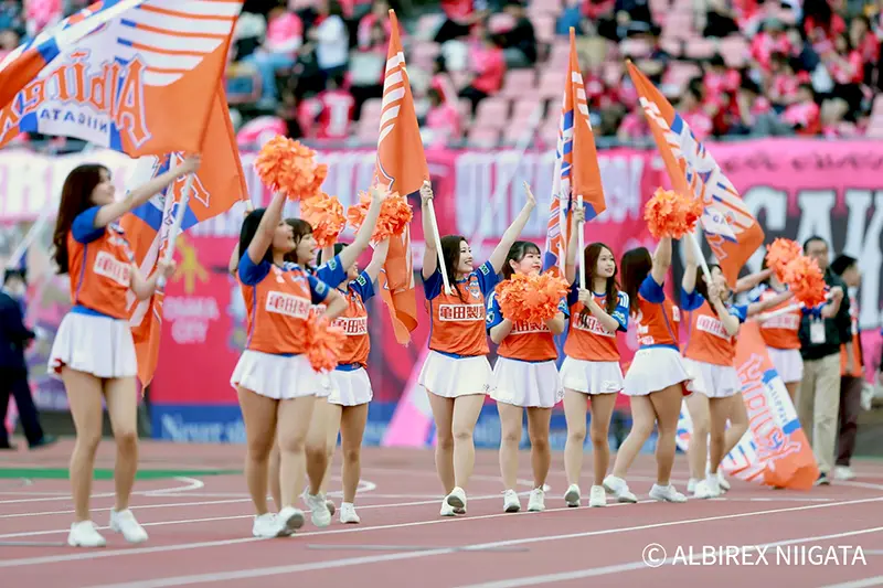 Albilex
                            Cheerleaders
                            
