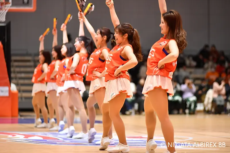 Albilex
                            Cheerleaders
                            