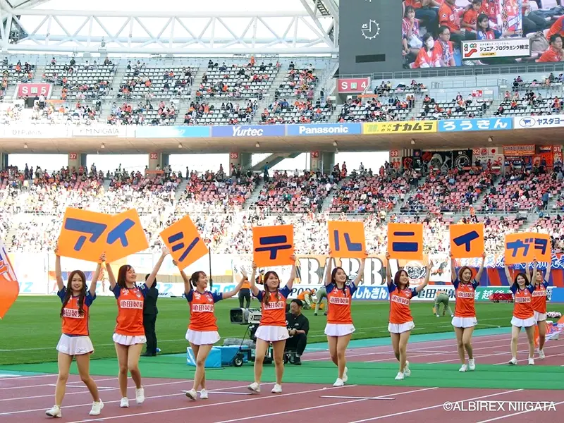 Albilex
                            Cheerleaders
                            