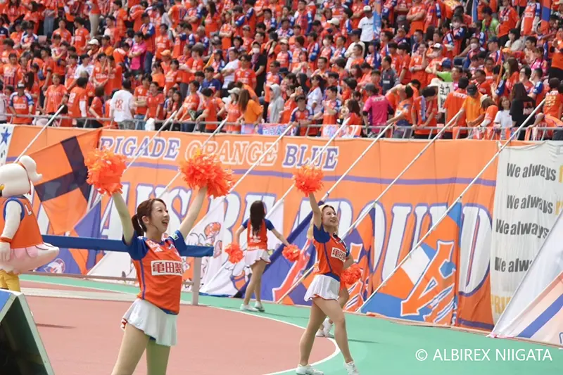 Albilex
                            Cheerleaders
                            