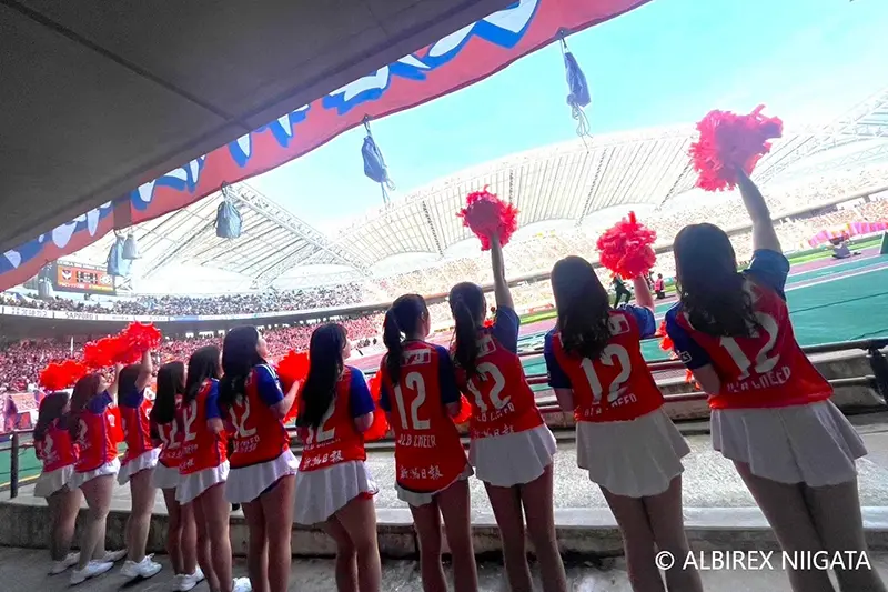 Albilex
                            Cheerleaders
                            