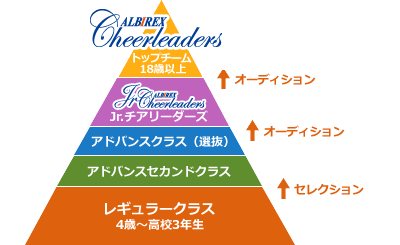 レギュラーコース
                            