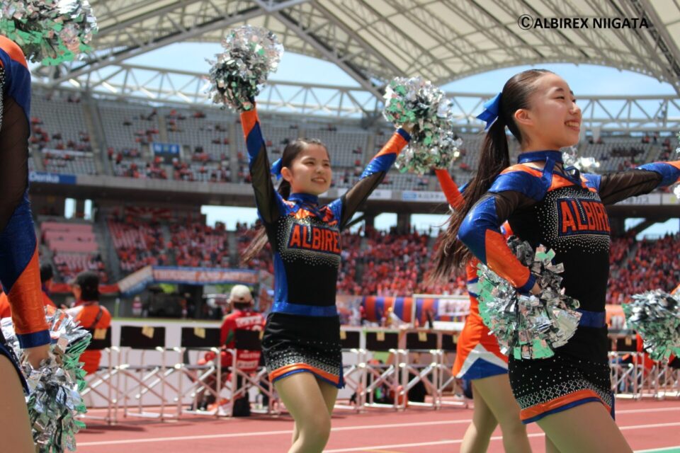 ALBIREX Jr.CHEERLEADERS ｜ アルビレックスチアリーダーズ Official