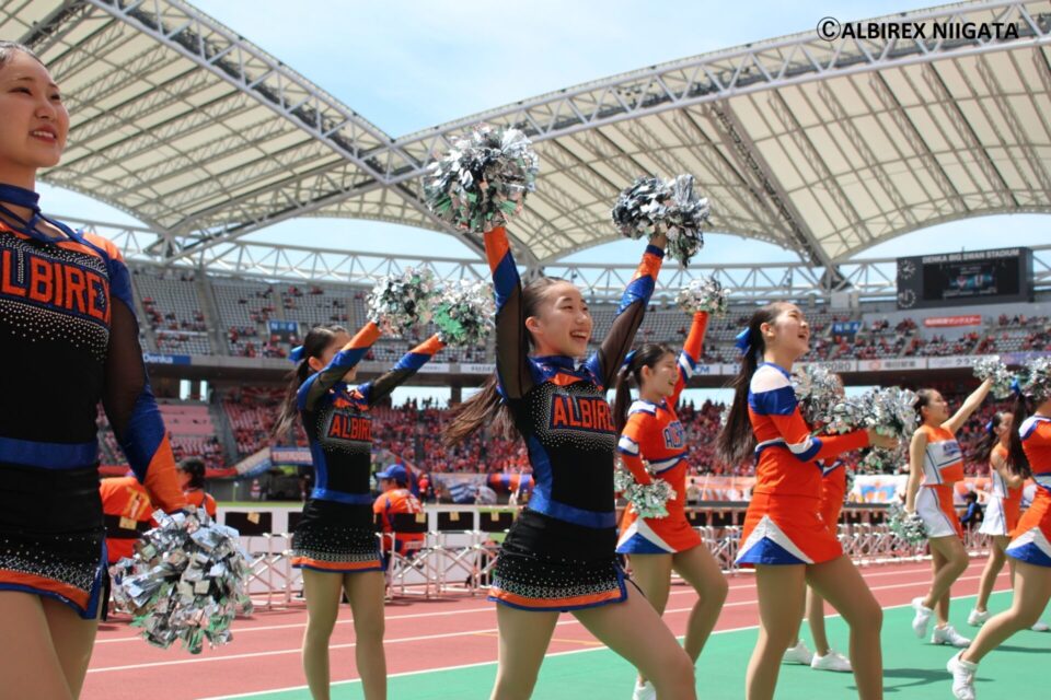 ALBIREX Jr.CHEERLEADERS ｜ アルビレックスチアリーダーズ Official