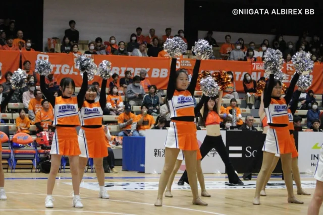 . 
.
.

𝙰𝚕𝚋𝚒𝚛𝚎𝚡 𝙲𝚑𝚎𝚎𝚛𝚕𝚎𝚊𝚍𝚎𝚛𝚜 𝚂𝚌𝚑𝚘𝚘𝚕
⋆*🧡アルビレックスチアリーダーズスクール💙⋆* 

2026.03.28

アルビレックスBB🏀ホームゲーム
＠アオーレ長岡

新潟アルビレックスBB 🆚 岐阜スゥープス

*・。*・。*・。*・。*・。*・。*・。

只今、春のスクールキャンペーン実施中☘️

3月1日〜4月末までのご入会で
素敵な特典をプレゼント🎁✨

詳しくは
アルビレックスチアリーダーズスクールHPをご覧ください🌟

#チアダンス #アオーレ長岡 #school
#新潟 #niigata 
.