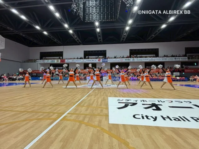 . 
.
.

𝙰𝚕𝚋𝚒𝚛𝚎𝚡 𝙲𝚑𝚎𝚎𝚛𝚕𝚎𝚊𝚍𝚎𝚛𝚜 𝚂𝚌𝚑𝚘𝚘𝚕
⋆*🧡アルビレックスチアリーダーズスクール💙⋆* 

2026.03.28

アルビレックスBB🏀ホームゲーム
＠アオーレ長岡

新潟アルビレックスBB 🆚 岐阜スゥープス

*・。*・。*・。*・。*・。*・。*・。

只今、春のスクールキャンペーン実施中☘️

3月1日〜4月末までのご入会で
素敵な特典をプレゼント🎁✨

詳しくは
アルビレックスチアリーダーズスクールHPをご覧ください🌟

#チアダンス #アオーレ長岡 #school
#新潟 #niigata 
.