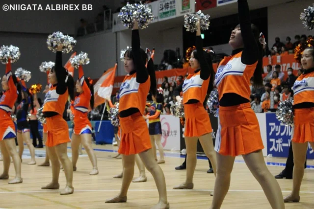 .
.

𝙰𝚕𝚋𝚒𝚛𝚎𝚡 𝙲𝚑𝚎𝚎𝚛𝚕𝚎𝚊𝚍𝚎𝚛𝚜 𝚂𝚌𝚑𝚘𝚘𝚕
⋆*🧡アルビレックスチアリーダーズスクール💙⋆* 

2026.04.11

アルビレックスBB🏀ホームゲーム
＠アオーレ長岡

新潟アルビレックスBB 🆚 ヴィアティン三重

*・。*・。*・。*・。*・。*・。*・。

只今、春のスクールキャンペーン実施中☘️

3月1日〜4月末までのご入会で
素敵な特典をプレゼント🎁✨

詳しくはHPをご覧ください🌟

#チアダンス #アオーレ長岡 #school
#新潟 #niigata 
.
.