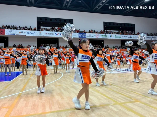 .
.

𝙰𝚕𝚋𝚒𝚛𝚎𝚡 𝙲𝚑𝚎𝚎𝚛𝚕𝚎𝚊𝚍𝚎𝚛𝚜 𝚂𝚌𝚑𝚘𝚘𝚕
⋆*🧡アルビレックスチアリーダーズスクール💙⋆* 

2026.04.11

アルビレックスBB🏀ホームゲーム
＠アオーレ長岡

新潟アルビレックスBB 🆚 ヴィアティン三重

*・。*・。*・。*・。*・。*・。*・。

只今、春のスクールキャンペーン実施中☘️

3月1日〜4月末までのご入会で
素敵な特典をプレゼント🎁✨

詳しくはHPをご覧ください🌟

#チアダンス #アオーレ長岡 #school
#新潟 #niigata 
.
.