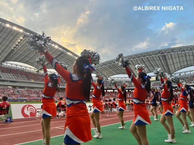 .
.
.
2026.09.13(Sat)

アルビレックス新潟🦢
VS
モンテディオ山形⛰️

VICTORY👑✧˖°.

#アルビレックスチアリーダーズスクール
#アルビレックス新潟 #モンテディオ山形
#新潟 #niigata
.
.
.