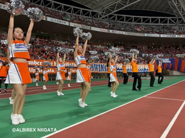 .
.
2026.09.19(Sat)

アルビレックス新潟🦢
VS
ジュビロ磐田🎉

VICTORY👑✧˖°.

#アルビレックスチアリーダーズスクール
#アルビレックス新潟 
#新潟 #niigata
.
.
.