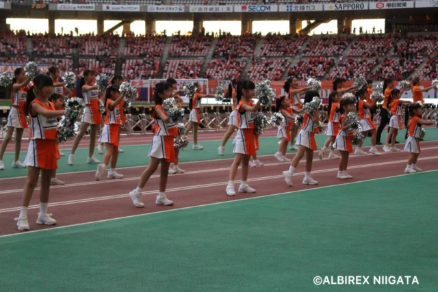 .
.
.
2026.09.19(Sat)

アルビレックス新潟🦢
VS
ジュビロ磐田🎉

VICTORY👑✧˖°.

#アルビレックスチアリーダーズスクール
#アルビレックス新潟 
#新潟 #niigata
.
.