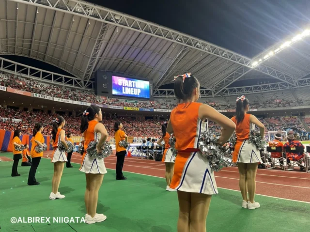 .
.
2026.09.19(Sat)

アルビレックス新潟🦢
VS
ジュビロ磐田🎉

VICTORY👑✧˖°.

#アルビレックスチアリーダーズスクール
#アルビレックス新潟 
#新潟 #niigata
.
.
.