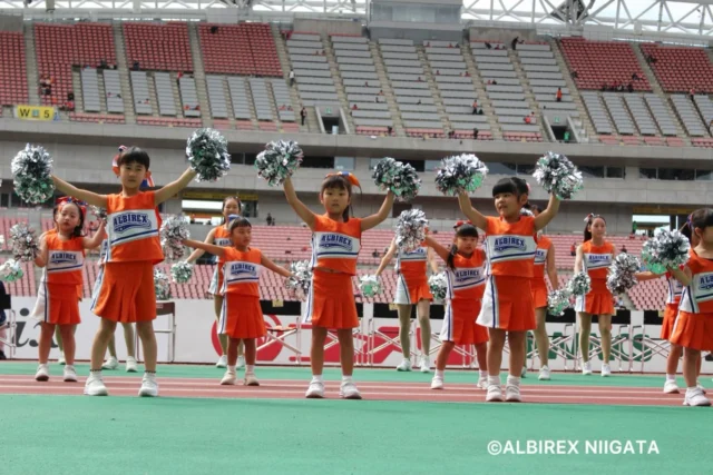 .
.
.
2026.10.3(Sat)

アルビレックス新潟🌾
VS
徳島ヴォルティス🍥

2-1
VICTORY👑✧˖°.

#アルビレックスチアリーダーズスクール
#アルビレックス新潟 
#新潟 #niigata
.
.