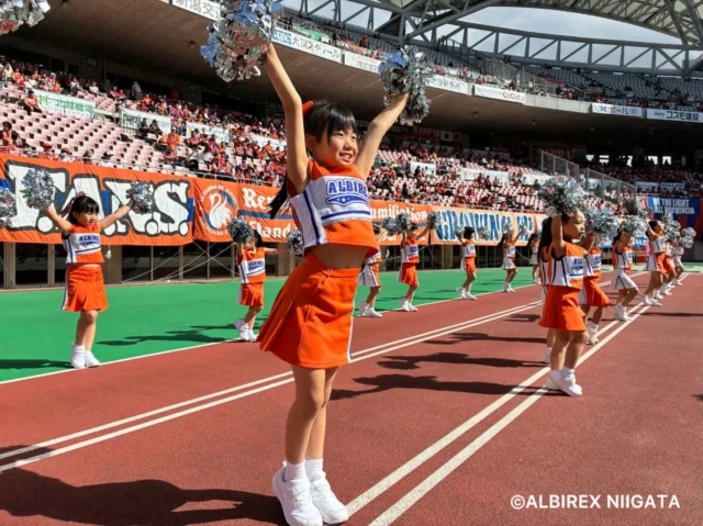 .
.
.
2026.10.3(Sat)

アルビレックス新潟🌾
VS
徳島ヴォルティス🍥

2-1
VICTORY👑✧˖°.

#アルビレックスチアリーダーズスクール
#アルビレックス新潟 
#新潟 #niigata
.
.
