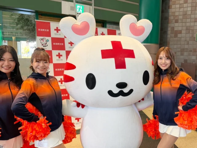 🏥

昨年に引き続き
長岡赤十字病院様
ふれあいまつり2026に
@albcheer_marin 
@albcheer_mio 
@albcheer_momoka 
の3名が出演をさせていただきました。

ご来場の皆さま
関係者の皆さま
ありがとうございました。

#長岡赤十字病院　様
#赤十字は動いている
#日本赤十字社新潟県支部　様
#albirexcheerleaders 
#アルビチア