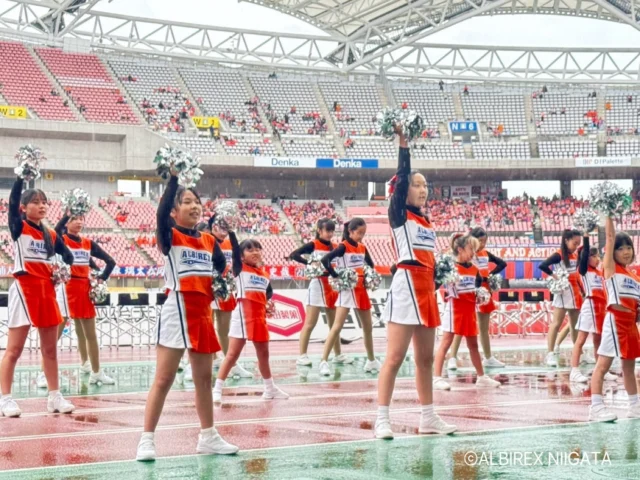 .
.
.
2026.10.25 (Sun)

アルビレックス新潟🦢🌾
VS
ベガルタ仙台🎋🌟

2-1
VICTORY👑🔥

#アルビレックス #アルビ
#albirex #新潟
#アルビレックスチアリーダーズスクール